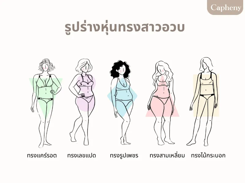 รูปร่างหุ่นทรงสาวอวบ รูปร่างหุ่นทรงสาวอวบ