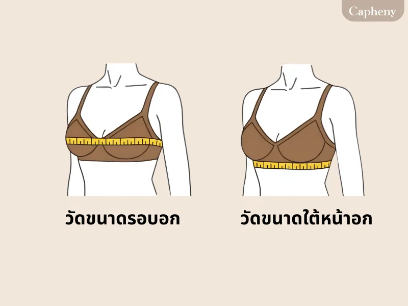 เดรสสายเดี่ยวสีทอง–สีเบจ พร้อมเสื้อคลุมผ้าตาข่าย