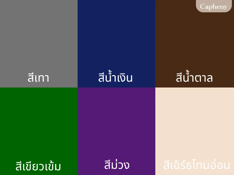 เสื้อสีสุภาพ มีสีอะไรบ้าง