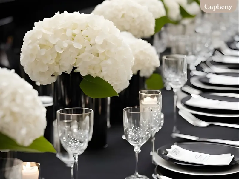 ไฮเดรนเยียขาว (White Hydrangea) ไฮเดรนเยียขาว (White Hydrangea)